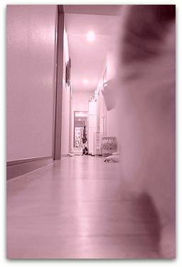 動く013-001 写真: 動く013-001