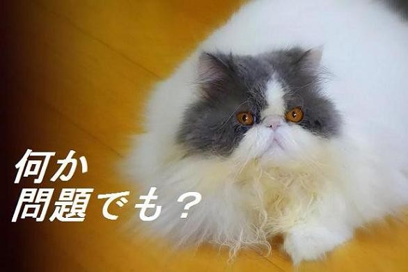 2017-001