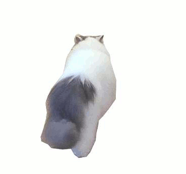 お尻フリフリ歩くcoo