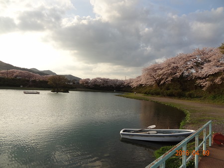 桜の加賀フィッシングエリア