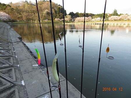 ２０１６年４月春の東山湖