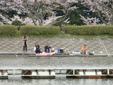 ２０１６年４月春の東山湖