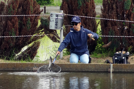 座間養魚場 第5回Zカップ最終戦 3年目にして座間王に^^