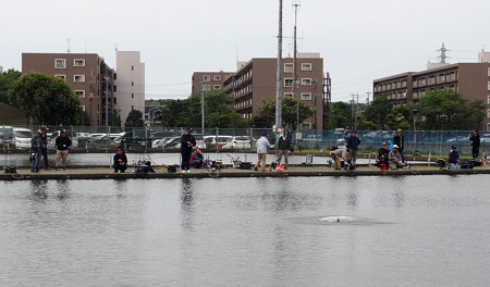 座間養魚場 第5回Zカップ最終戦 3年目にして座間王に^^