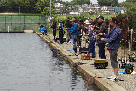 座間養魚場 第5回Zカップ最終戦 3年目にして座間王に^^