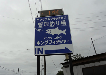 2019 キングフィッシャー夏の陣第弐戦