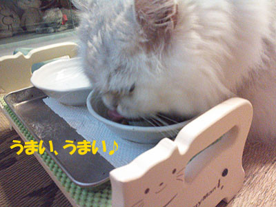 14050601