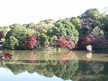 071125YAKUSHIIKE (13)