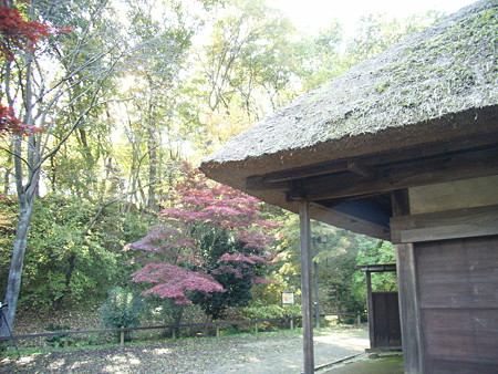 071125YAKUSHIIKE (9)