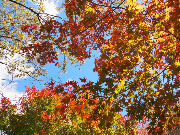 Photos: PA258225