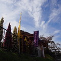 Photos: PB168445