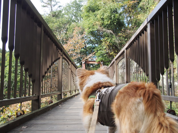 Photos: PB168471