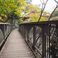 Photos: PB168478