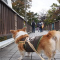 Photos: PB168499