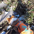 Photos: PC098429