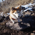 Photos: PC098472