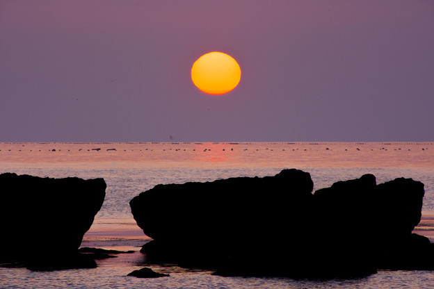 朝陽　DSC_7611