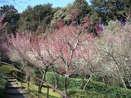 石山寺 020