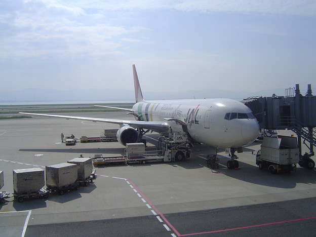 JAL便　関空よりこれで北海道に行きました。