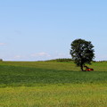 Photos: 農機具も木陰で一休み！