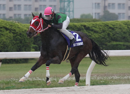 サムライドライブ レース(18/05/02・第57回 駿蹄賞)