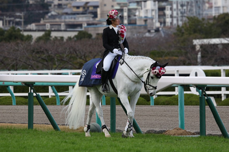 大特価新品 競馬 誘導馬（阪神競馬場 2005年W.S.J.S仕様）ゼッケン