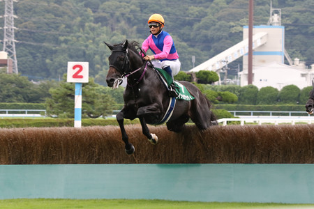 メイショウダッサイ 19 07 27 第21回 小倉サマージャンプ 小倉競馬場 クロミちゃんの競馬日記