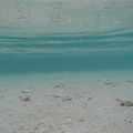 Photos: r0154_ハテの浜の海の中