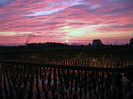 ７・６の夕日