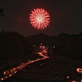 Photos: 四谷の千枚田【夜】その２