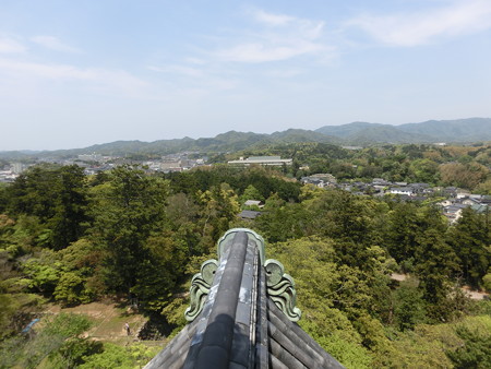CIMG0447