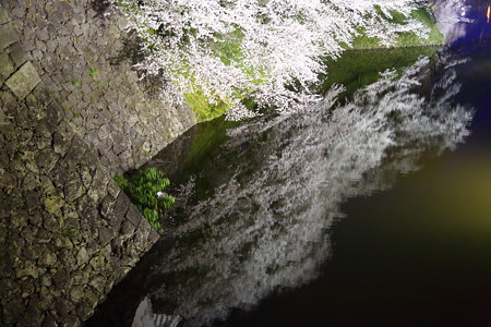 2M6C8430