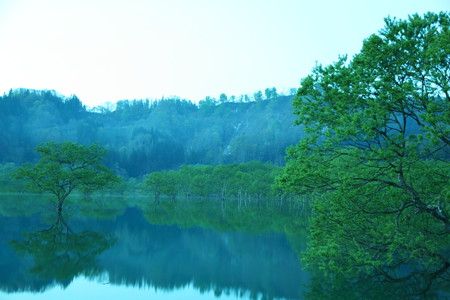 2M6C8586