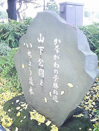 081128-山下公園通り (2)
