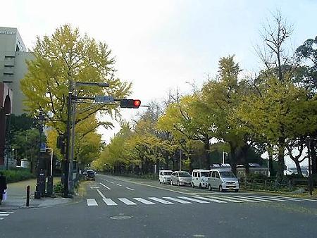 081128-山下公園通り (3)