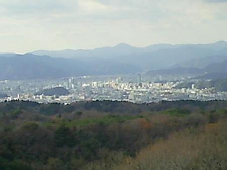 20090104-日本平山頂 (5)