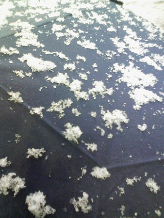 090303-雪降ってます (4)