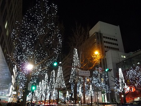1512330-御堂筋イルミネーション (115)