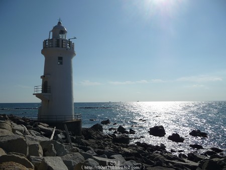 160110-伊良湖岬 (12)