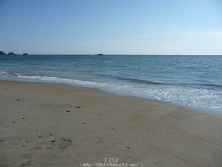 160110-伊良湖岬 (30)