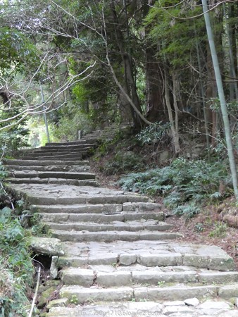 160324-熊野古道 大門坂 (32)