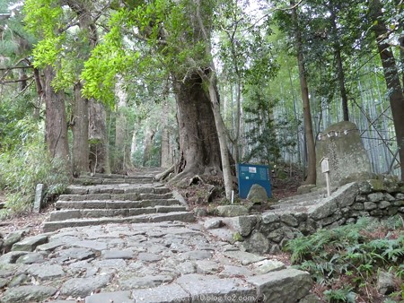 160324-熊野古道 大門坂 (38)