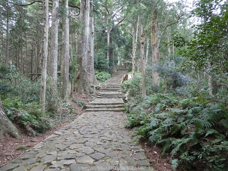 160324-熊野古道 大門坂 (79)