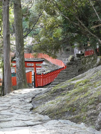 160324-神倉神社 (36)