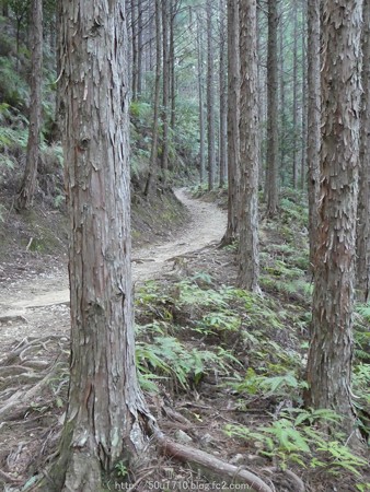 160325-熊野古道 小辺路 (20)