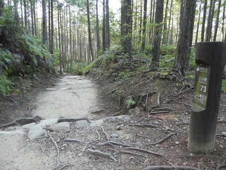 160325-熊野古道 小辺路 (28)