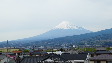 160406-東田子 (20)