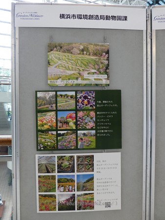 180518-みなとみらいGARDEN LIFE 2018 (11)