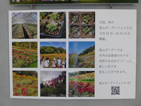 180518-みなとみらいGARDEN LIFE 2018 (14)