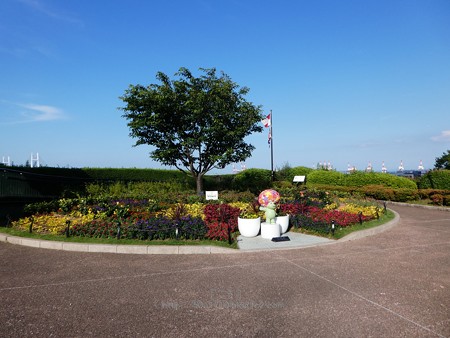 180603-港の見える丘公園 (2)